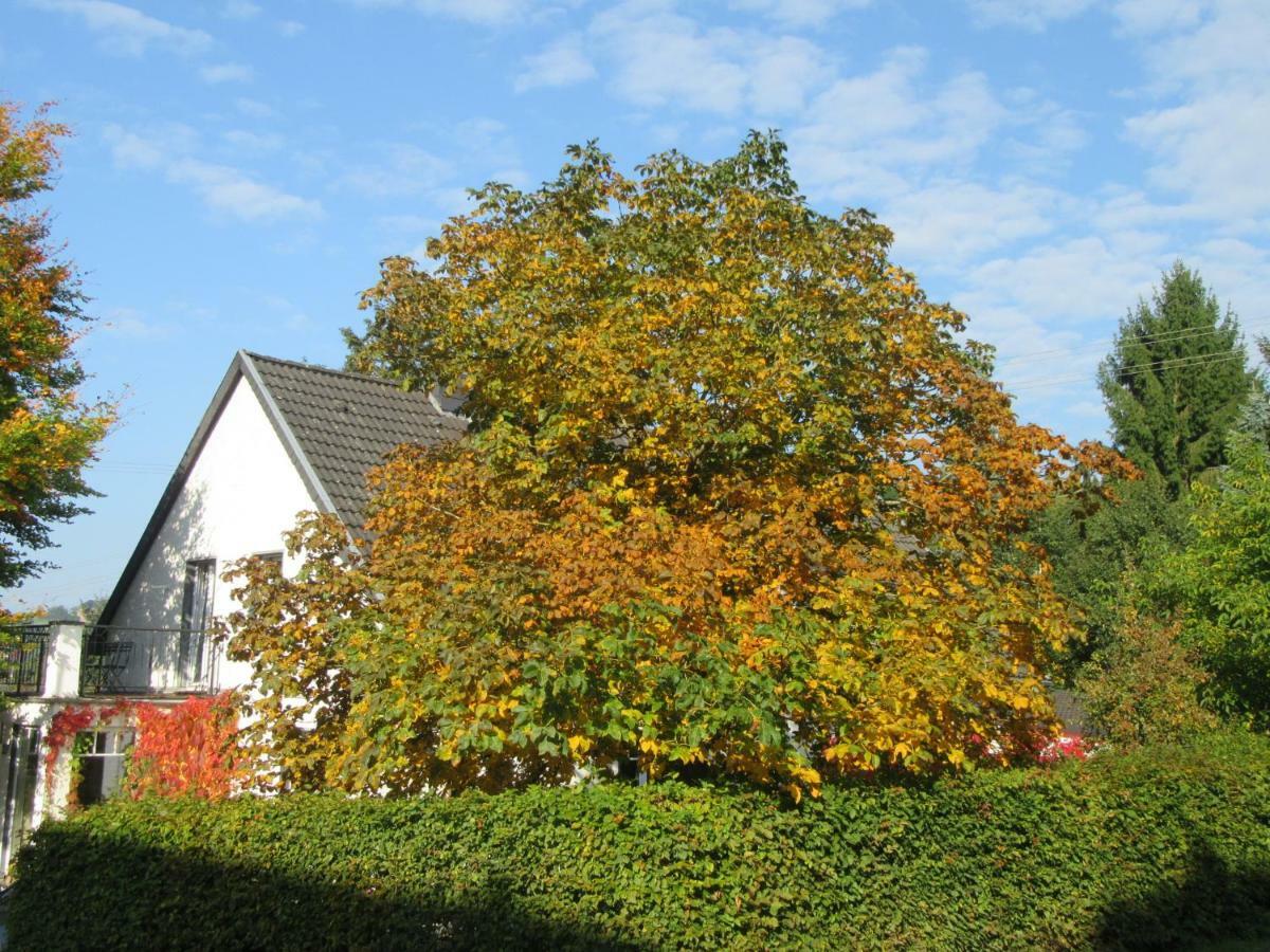 Eifel Gaestewohnung Blankenheim  Esterno foto